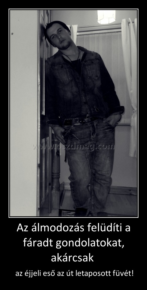 Az álmodozás felüdíti a fáradt gondolatokat, akárcsak 
 
 az éjjeli eső az út letaposott füvét!