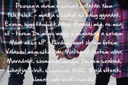 Pezseg a vérem e
 
Pezseg a vérem e szavak hallatán. Nem felejtelek. - mondja s csókot ad zálog gyanánt. Érzem, hogy távolodik tölem. Maradj még, ne menj el! – kérem De mégis megy, s meghasad a szívem. Mért mész el? - kérdem, mert öt nem értem. Válaszul megcsókol újra, Mintha én kértem volna. Maradnék, szomorúan mondja. De nem szabad, sóhajtja. Sírok, ö szorosan átölel.  Majd eltünik, elment, már senki nem ölel.