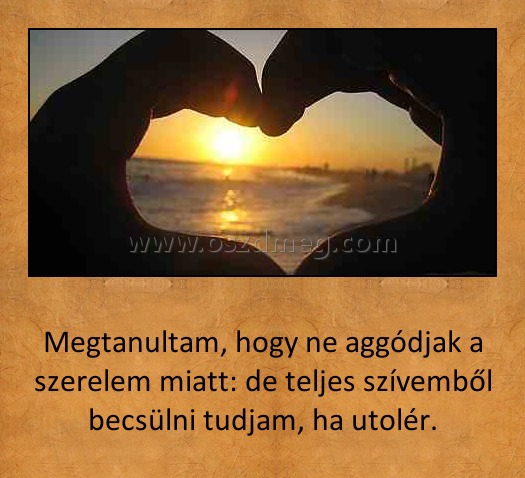 Megtanultam Megtanultam
Megtanultam, hogy ne aggódjak a szerelem miatt: de teljes szívemből becsülni tudjam, ha utolér.