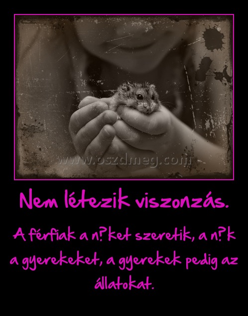 Nem létezik viszonzás. Nem létezik viszonzás.
A férfiak a nőket szeretik, a nők a gyerekeket, a gyerekek pedig az állatokat.