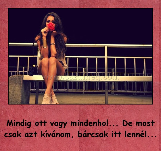 Mindig ott vagy mindenhol Mindig ott vagy mindenhol
Mindig ott vagy mindenhol... De most csak azt kívánom, bárcsak itt lennél...
