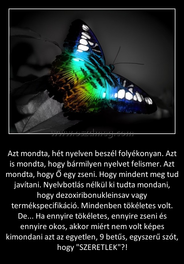 Azt mondta Azt mondta
Azt mondta, hét nyelven beszél folyékonyan. Azt is mondta, hogy bármilyen nyelvet felismer. Azt mondta, hogy Ő egy zseni. Hogy mindent meg tud javítani. Nyelvbotlás nélkül ki tudta mondani, hogy dezoxiribonukleinsav vagy termékspecifikáció. Mindenben tökéletes volt. De... Ha ennyire tökéletes, ennyire zseni és ennyire okos, akkor miért nem volt képes kimondani azt az egyetlen, 9 betűs, egyszerű szót, hogy