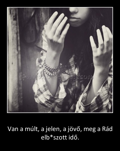 Van a múlt, jelen...
 
Van a múlt, a jelen, a jövő, meg a Rád elb*szott idő.