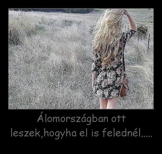 Álomországban ott leszek,hogyha el is felednél..... Álomországban ott leszek,hogyha el is felednél.....