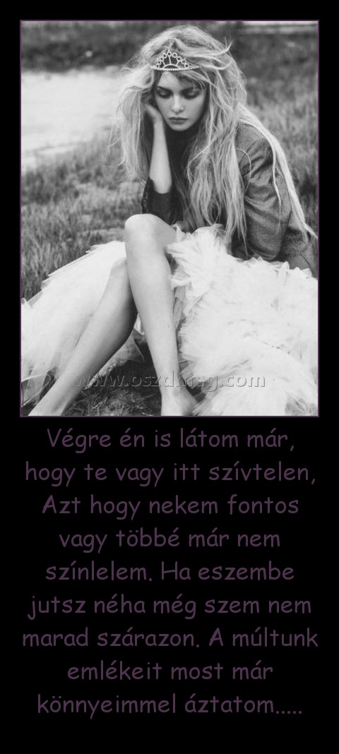 Végre én is látom már, hogy te vagy itt szívtelen, Azt hogy nekem fontos vagy többé már nem színlelem. Ha eszembe jutsz néha még szem nem marad szárazon. A múltunk emlékeit most már könnyeimmel áztatom.....
 
