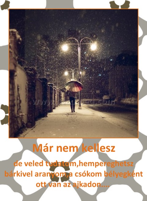 Már nem kellesz
 
de veled tudatom,hempereghetsz bárkivel aranyom,a csókom bélyegként ott van az ajkadon.... 