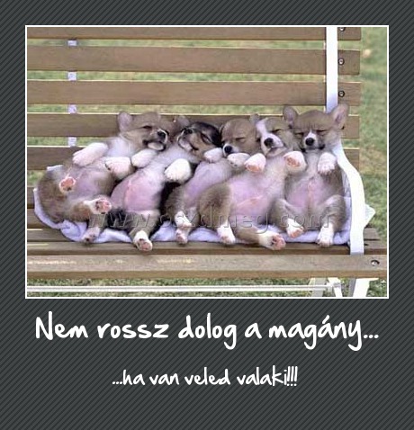 Nem rossz dolog a magány...
 
...ha van veled valaki!!! 