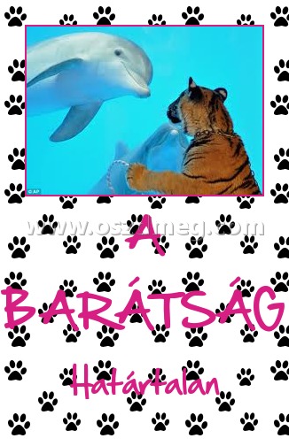 A BARÁTSÁG
 
Határtalan