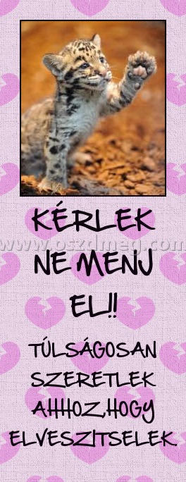 KÉRLEK NE MENJ EL!!
 
TÚLSÁGOSAN SZERETLEK AHHOZ,HOGY ELVESZITSELEK.