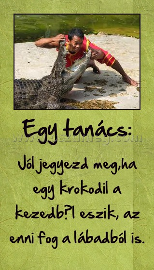 Egy tanács: Egy tanács:
Jól jegyezd meg,ha egy krokodil a kezedből eszik, az enni fog a lábadból is.
