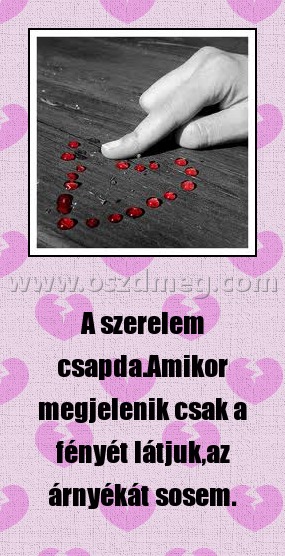 A szerelem csapda
 
