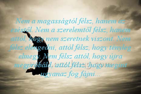 Nem a magasságtól félsz Nem a magasságtól félsz
Nem a magasságtól félsz, hanem az eséstől. Nem a szerelemtől félsz, hanem attól, hogy nem szeretnek viszont. Nem félsz elengedni, attól félsz, hogy tényleg elmegy. Nem félsz attól, hogy újra megpróbáld, attól félsz, hogy megint ugyanaz fog fájni...