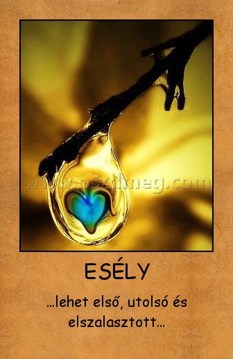 ESÉLY
 
...lehet első, utolsó és elszalasztott...