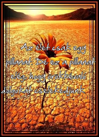 Az élet csak egy
 
Az élet csak egy pillanat. De ez a pillanat elég, hogy örökkévaló dolgokat cselekedjünk.  