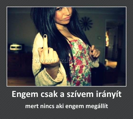 Engem csak a szívem irányít
 
mert nincs aki engem megállít