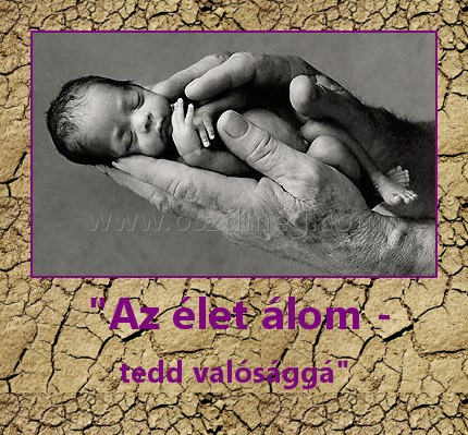  "Az élet álom -
 
 tedd valósággá" 