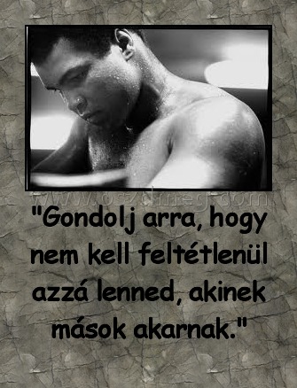 "Gondolj arra, hogy nem kell feltétlenül azzá lenned, akinek mások akarnak."
 
