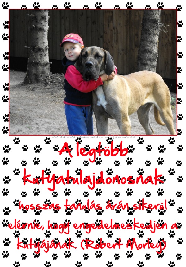 A legtöbb kutyatulajdonosnak
 
hosszas tanulás árán sikerül elérnie, hogy engedelmeskedjen a kutyájának. (Robert Morley) 
