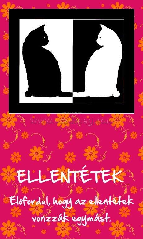                                                 ELLENTÉTEK 
 
Elöfordul, hogy az ellentétek vonzzák egymást.