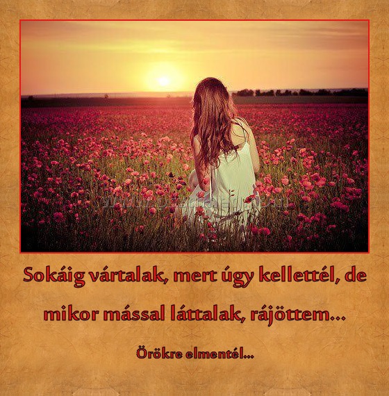 Sokáig vártalak, mert úgy kellettél, de mikor mással láttalak, rájöttem... Sokáig vártalak, mert úgy kellettél, de mikor mással láttalak, rájöttem...
Örökre elmentél...