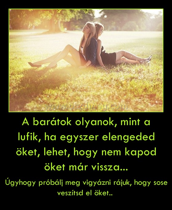 A barátok olyanok, mint a lufik, ha egyszer elengeded öket, lehet, hogy nem kapod öket már vissza... A barátok olyanok, mint a lufik, ha egyszer elengeded öket, lehet, hogy nem kapod öket már vissza...
Úgyhogy próbálj meg vigyázni rájuk, hogy sose veszítsd el öket..