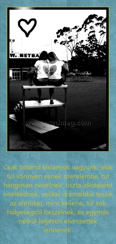 Csak bolond kislányok vagyunk
 
