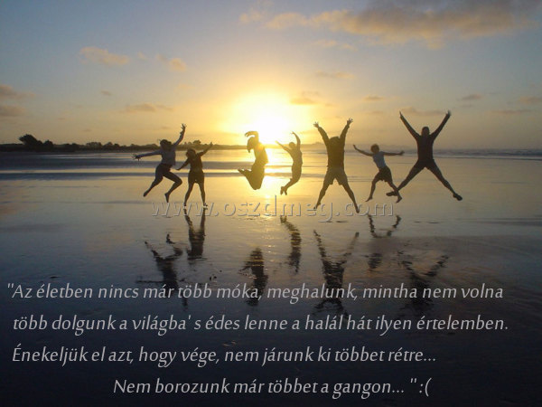 "Az életben nincs már
 
"Az életben nincs már több móka, meghalunk, mintha nem volna több dolgunk a világba' s édes lenne a halál hát ilyen értelemben. Énekeljük el azt, hogy vége, nem járunk ki többet rétre...                        Nem borozunk már többet a gangon... " :(