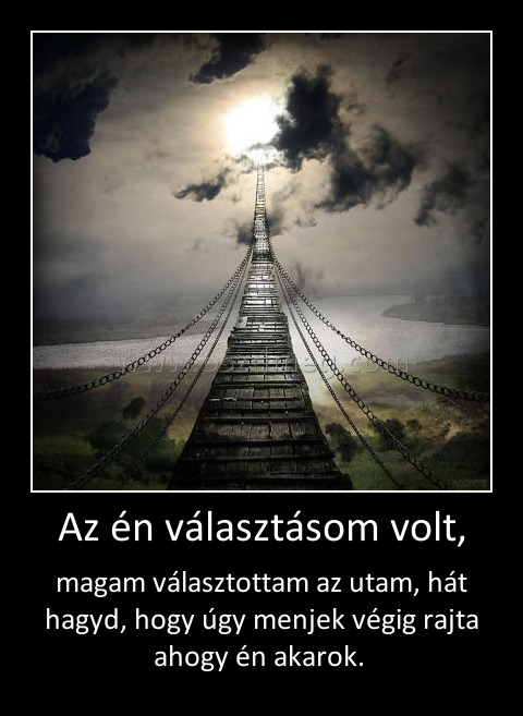 Az én választásom volt, Az én választásom volt,
magam választottam az utam, hát hagyd, hogy úgy menjek végig rajta ahogy én akarok.