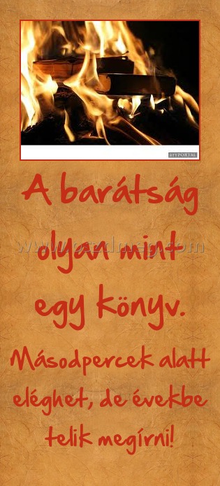 A barátság olyan mint egy könyv.
 
Másodpercek alatt eléghet, de évekbe telik megírni!