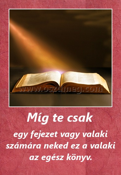 Míg te csak 
 
egy fejezet vagy valaki számára neked ez a valaki az egész könyv.