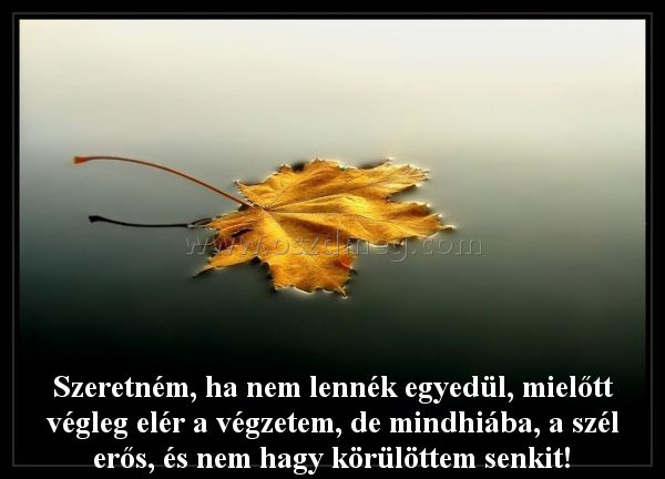 Szeretném Szeretném
Szeretném, ha nem lennék egyedül, mielőtt végleg elér a végzetem, de mindhiába, a szél erős, és nem hagy körülöttem senkit!