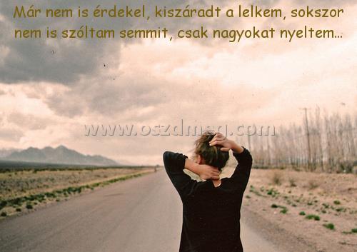 Már nem is érdekel Már nem is érdekel
Már nem is érdekel, kiszáradt a lelkem, sokszor nem is szóltam semmit, csak nagyokat nyeltem...