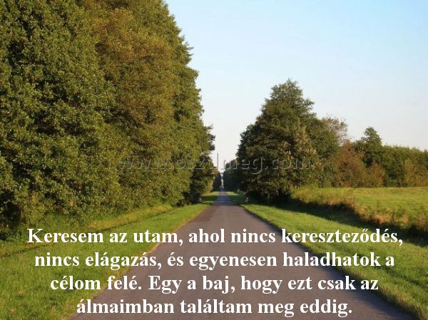 Keresem az utam Keresem az utam
Keresem az utam, ahol nincs kereszteződés, nincs elágazás, és egyenesen haladhatok a célom felé. Egy a baj, hogy ezt csak az álmaimban találtam meg eddig.