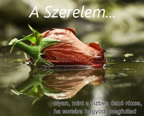 A Szerelem... A Szerelem...
A Szerelem...