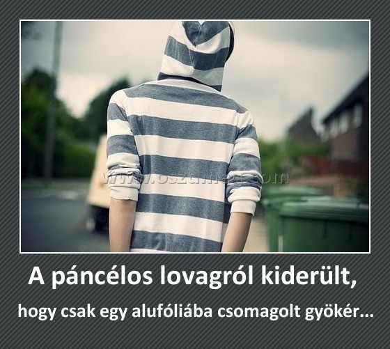 A páncélos lovagról kiderült, A páncélos lovagról kiderült,
hogy csak egy alufóliába csomagolt gyökér...