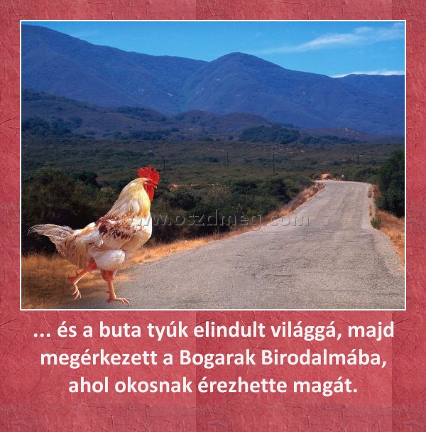 ... és a buta tyúk elindult világgá, majd megérkezett a Bogarak Birodalmába, ahol okosnak érezhette magát.
 
