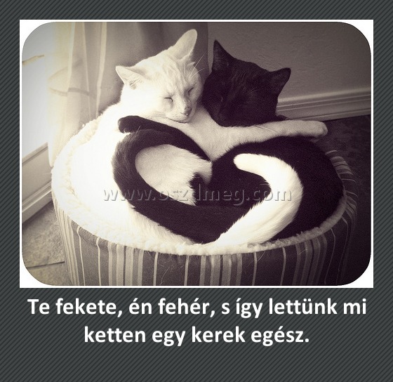 Te fekete, én fehér, s így lettünk mi ketten egy kerek egész.
 
