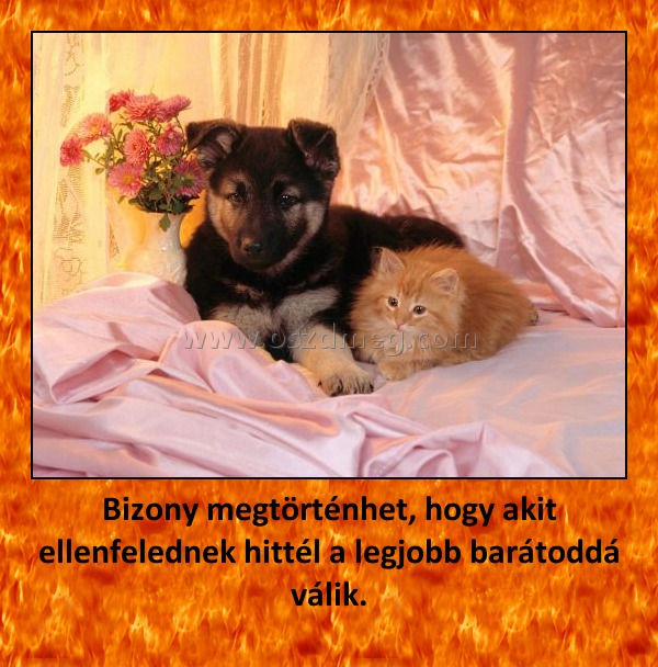 Bizony megtörténhet, hogy akit ellenfelednek hittél a legjobb barátoddá válik.
 
