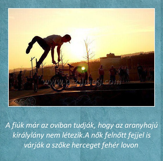 
 
A fiúk már az oviban tudják, hogy az aranyhajú királylány nem létezik.A nők felnőtt fejjel is várják a szőke herceget fehér lovon 