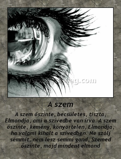 A szem A szem
A szem őszinte, becsületes, tiszta, Elmondja, ami a szívedbe van írva. A szem őszinte, kemény, könyörtelen, Elmondja, ha valami kihalt a szívedben. Ne szólj semmit, nem lesz semmi gond, Szemed őszinte, majd mindent elmond