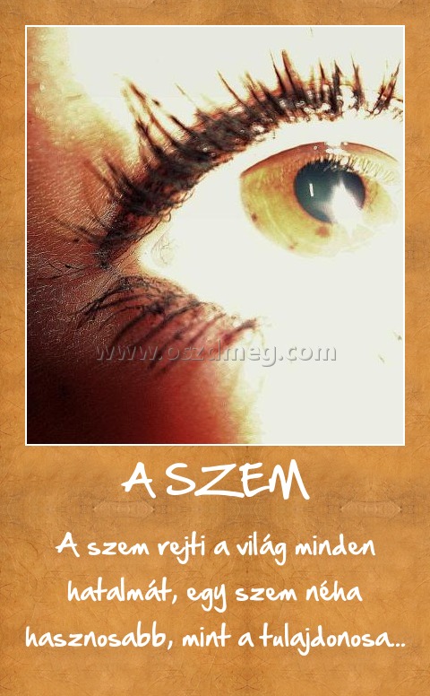 A SZEM
 
A szem rejti a világ minden hatalmát, egy szem néha hasznosabb, mint a tulajdonosa...