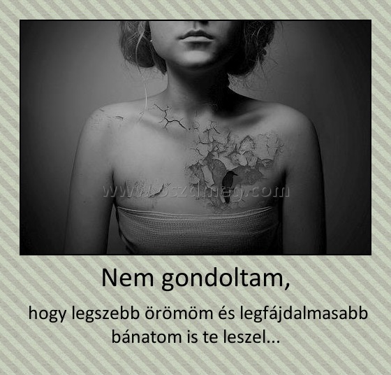 Nem gondoltam,
 
 hogy legszebb örömöm és legfájdalmasabb bánatom is te leszel...