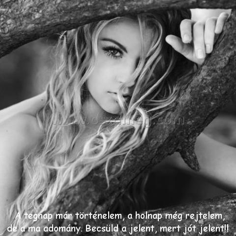  A tegnap már történelem
 
 A tegnap már történelem, a holnap még rejtelem, de a ma adomány. Becsüld a jelent, mert jót jelent!!