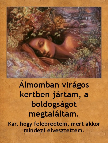 Álmomban virágos kertben jártam, a boldogságot megtaláltam.
 
Kár, hogy felébredtem, mert akkor mindezt elvesztettem.