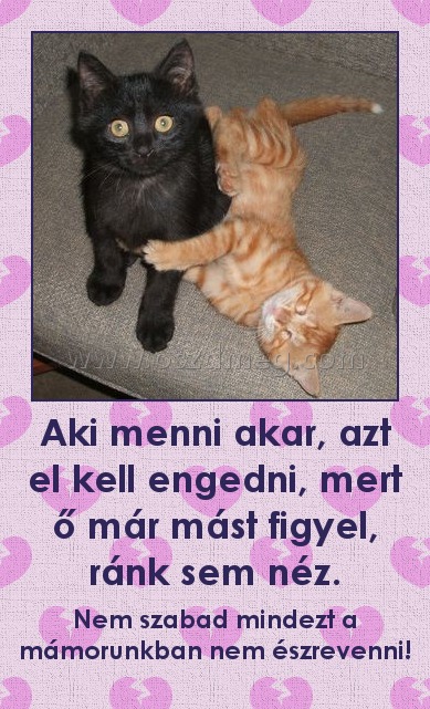 Aki menni akar, azt el kell engedni, mert ő már mást figyel, ránk sem néz.
 
Nem szabad mindezt a mámorunkban nem észrevenni!