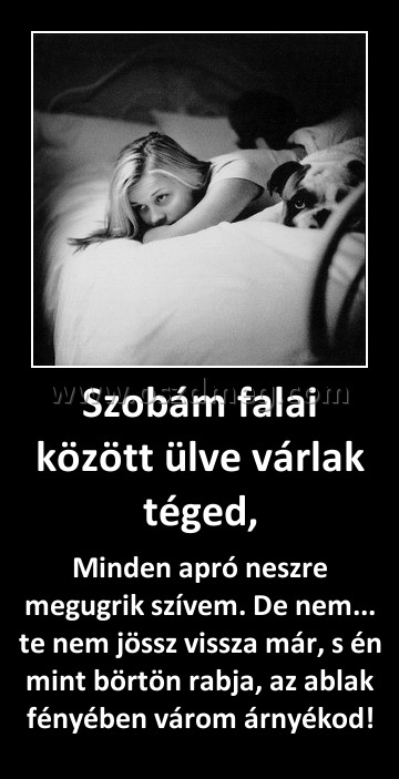 Szobám falai között ülve várlak téged,
 
Minden apró neszre megugrik szívem. De nem... te nem jössz vissza már, s én mint börtön rabja, az ablak fényében várom árnyékod!