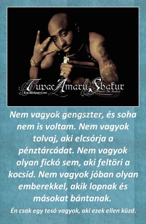 Nem vagyok gengszter, és soha nem is voltam. Nem vagyok tolvaj, aki elcsórja a pénztárcádat. Nem vagyok olyan fickó sem, aki feltöri a kocsid. Nem vagyok jóban olyan emberekkel, akik lopnak és másokat bántanak. 
 
Én csak egy tesó vagyok, aki ezek ellen küzd.