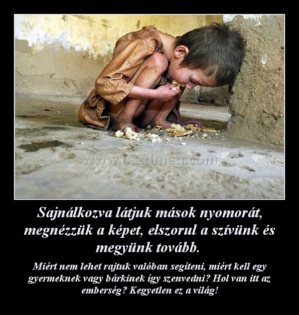 Sajnálkozva látjuk mások nyomorát, megnézzük a képet, elszorul a szívünk és megyünk tovább. Sajnálkozva látjuk mások nyomorát, megnézzük a képet, elszorul a szívünk és megyünk tovább.
Miért nem lehet rajtuk valóban segíteni, miért kell egy gyermeknek vagy bárkinek így szenvedni? Hol van itt az emberség? Kegyetlen ez a világ!