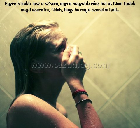 Egyre kisebb lesz a szívem
 
Egyre kisebb lesz a szívem, egyre nagyobb rész hal el. Nem tudok majd szeretni, félek, hogy ha majd szeretni kell...