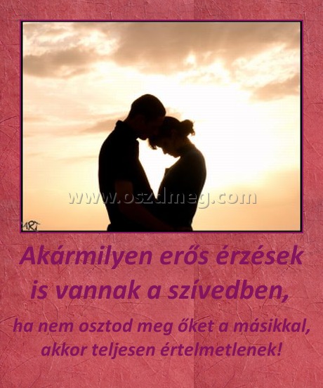 Akármilyen erős érzések is vannak a szívedben, 
 
ha nem osztod meg őket a másikkal, akkor teljesen értelmetlenek!
